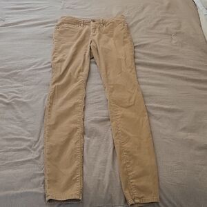 L.L. Bean Tan Skinny Pants